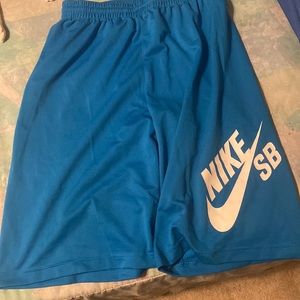 COPY - Nike Skateboard Shorts